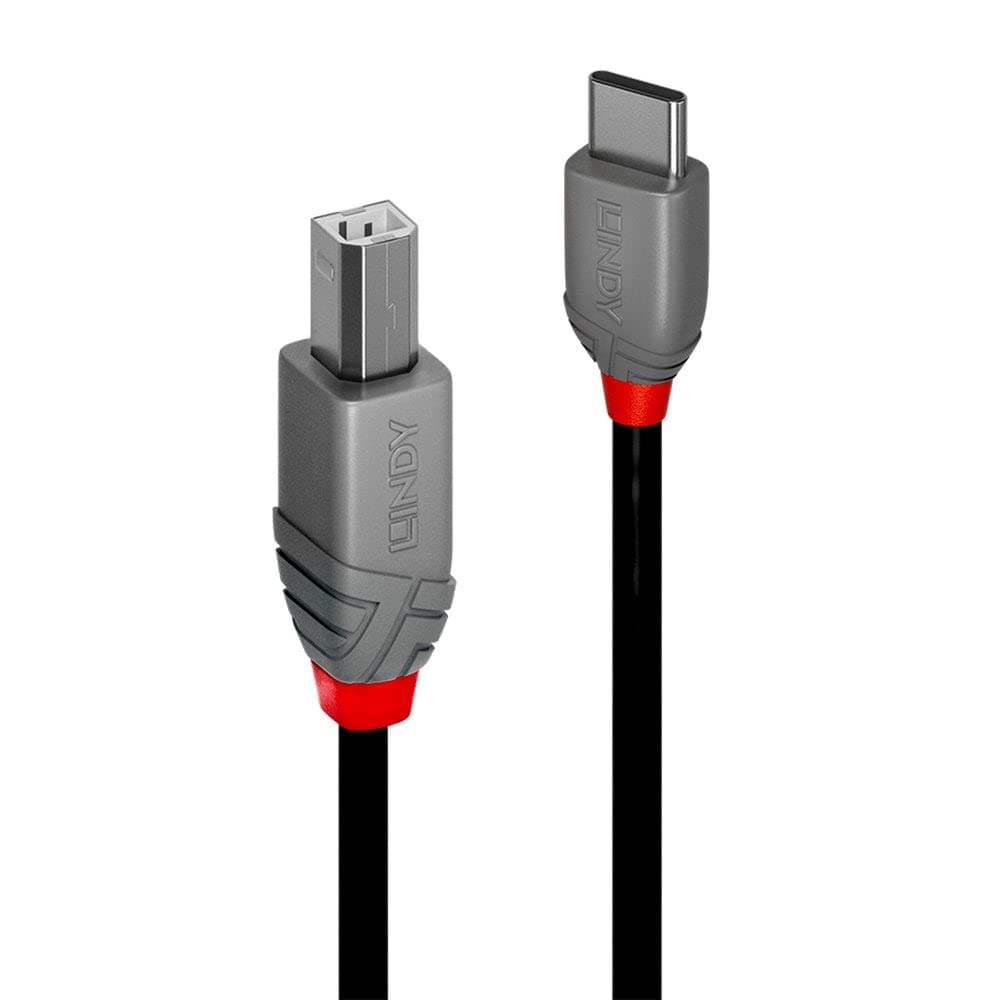 LINDY 0.5M USB 2.0 TYPE C A B CABLE