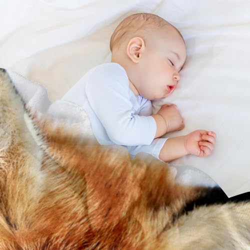 Couverture polaire en microfibre Fox 150x200 cm pour lit et canapé