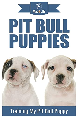 Pit Bull Puppies: Training My Pit Bull Puppy