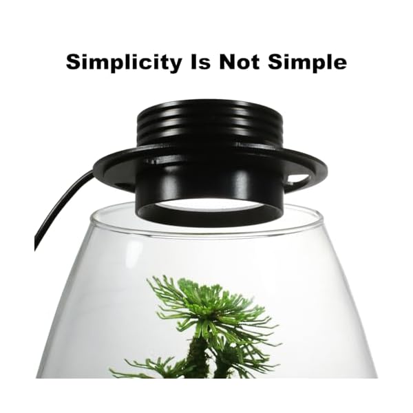 Desktop-Glass-Terrarium-with-Grow-Light-H78-D67-for-Succulent-Moss-Miniature-Gardening-Landscape-Betta-Fish-Tank-Indoor-Plant-Growth-Office-Home-Decoration-Plant-Lovers-Gifts Desktop-Glass-Terrarium-with-Grow-Light-H78-D67-for-Succulent-Moss-Miniature-Gardening-Landscape-Betta-Fish-Tank-Indoor-Plant-Growth-Office-Home-Decoration-Plant-Lovers-Gifts
