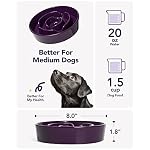 LE TAUCI Dog Bowls Slow Feeder Ceramic, 1.5 Cup Slow Feeding Bowl for Small and Medium Breed, Puzzle Dog Food Bowl for Fast Eater, Maze Purple - Image 3