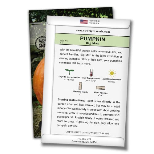 Sow Right Seeds - Classic Pumpkin Seed Collection For Planting - Small Sugar, Connecticut Field, And Big Max Pumpkin Seeds - Non-Gmo Heirloom Packets With Instructions To Plant A Home Vegetable Garden #TOP2