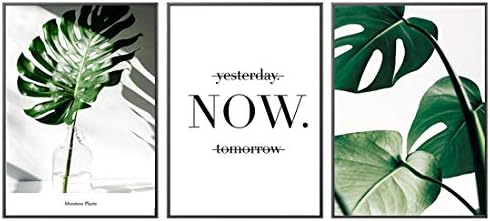 VIIRY 3 Pcs Natural Green Leaves Canvas Prints Wall Art Abstract Poster Modern Art Decor Painting for Living Room Bedroom Study Painting(Unframed) (12x16in)