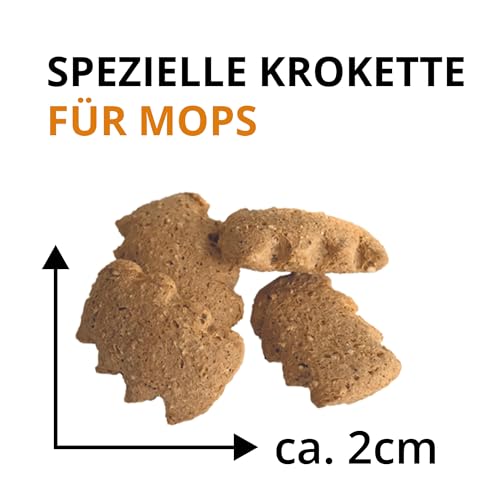 Wildsterne Breed Selection Mops, 2,5 kg