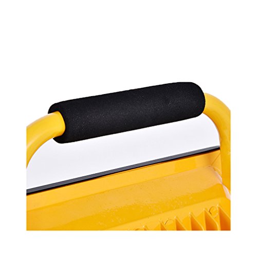 XYTMY Proiettore led Ricaricabile 20W 800LM