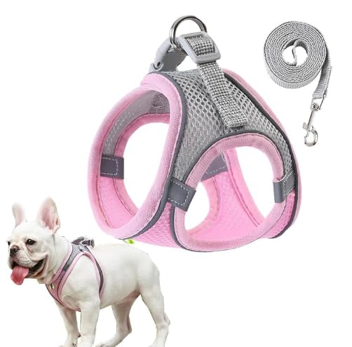 Breathable Lightweight No Pull Dog Harness Small Sized Dog, Step-in Soft Mesh Puppy Harness with Reflective Strips,Escape Proof Puppy Vest Harnesses for Small Dogs/Cats for Walking Training