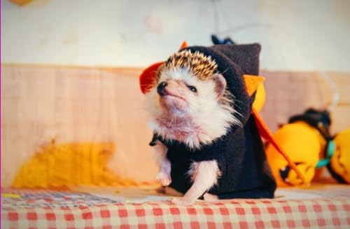 Disfraz de Erizo Devil para Mascotas Talla L miniatura 6