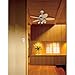Westinghouse 7787300 Ceilng Fan and Light Wall Control , White