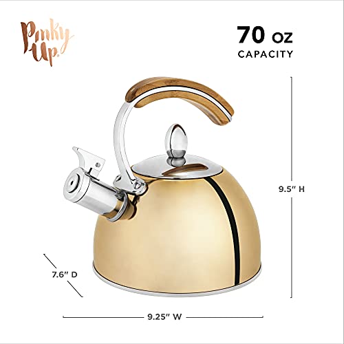 Pinky Up 9547 Presley Tea Kettle, Stovetop Stainless Steel Kettle thumb #1