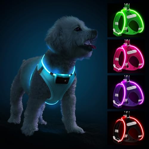 PcEoTllar Hundegeschirr Leuchtend, Leuchtgeschirr LED Aufladbar & Reflektierendes, Beleuchtetes Leuchtgeschirr für Welpe Klein Mittlere Hund, Atmungsaktiv Leucht Geschirr, Blau-S