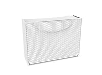 Algopix Similar Product 13 - Terry 79813 Shoe Rack Rattan White