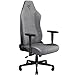 Razer Iskur V2 X Ergonomic Gaming Chair: Silla Gamer Ergonómica - Soporte Lumbar - Asiento Amplio - Espuma Densa - Reclinación Ajustable de 152 Grados - Brazos 2D - Tela Suave - Edición Gris Claro