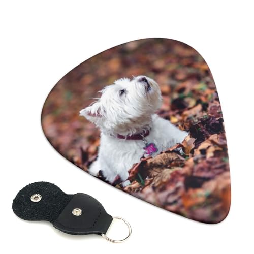 EGXgnChzCgeǍ GLx[XENsbN Abs fރGARy 0.96mm