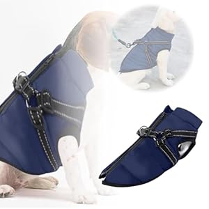 Dog Winter Coats, Dog Jacket with Harness Built in, Dog Cold Weather Coats, Dog Raincoat Includes Tow Rope, Waterproof Dog Jackets for Medium Large Small Dogs (Navy, M: Neck: 13 in, Chest 20 in)