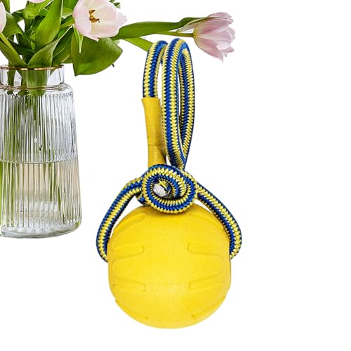 p̃W[{[Anhť̃{[ | nhŔjłȂ`[Cg[jO{[,C^NeBuȎq̂ybgTvCAObVu`[J[p̎錋і