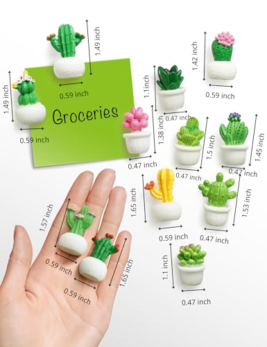 Imanes decorativos cactus 3D set 12 unidades miniatura 2