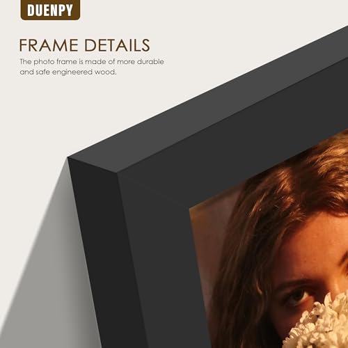 Image of DUENPY 4 Folding 4x6 Accordion Wood Frame Plexiglass Black