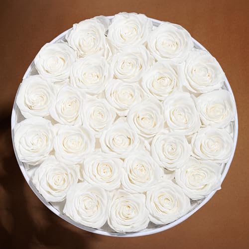 27 Flowers in a Luxury Suede Box, Birthday Gifts for Women, Preserved Flowers, Mothers Day Roses Gift for Mom, White