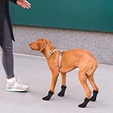 4 Stück Hundeschuhe Pfotenschutz Hunde Schuhe Outdoor atmungsaktiv Hundeschuhe Hundesocken Anti Rutsch für Füße mit Einer Breite von ca. 5,6 cm XL