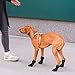 4 Stück Hundeschuhe Pfotenschutz Hunde Schuhe Outdoor atmungsaktiv Hundeschuhe Hundesocken Anti Rutsch für Füße mit Einer Breite von ca. 5,6 cm XL