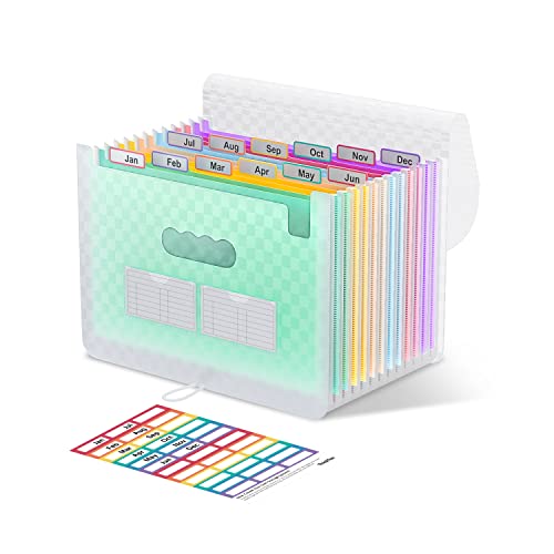 ThinkTex Accordian Aktenordner, 12 Fächer, erweiterbare Aktenordner, tragbarer monatlicher Rechnungsbeleg-Organizer, bunte Registerkarten, A4-Größe – grün