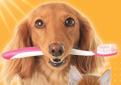 Arm & Hammer Tartar Control Dog Dental Kit, Beef Flavor, 3-Piece