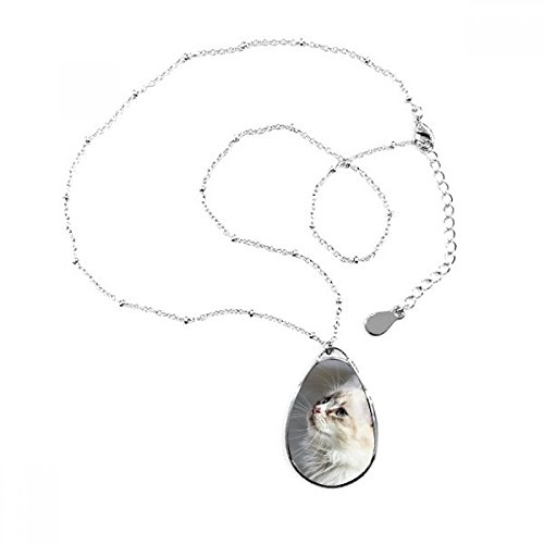 Cadeau décoration pendentif chat blanc en goutte d'eau avec chaîne pour anniversaire