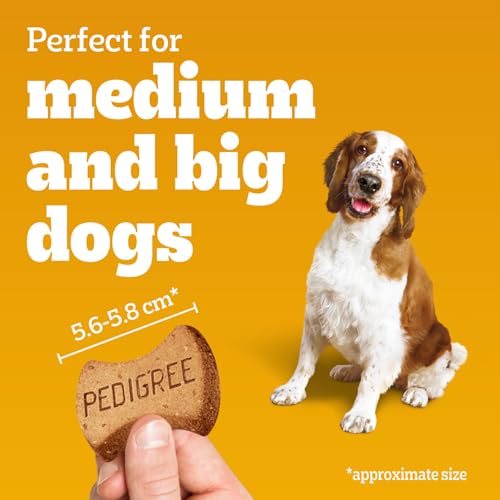 PEDIGREE Breathbuster Medium & Large Adult Dog Treats - Crunchy Biscuits - with Eucalyptus Oil and Parsley, 500g Pouch - Image 5