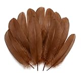 Lamar Feather Craft Brown Feathers 100pcs 5-7 inches Colorful Feathers for DIY Crafts Dream Catchers, Angel Wings and Wedding Party Christmas Home Decoration (Coffee)