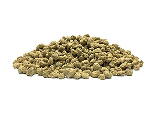 Preisvergleich Produktbild GEOPONICS 350 + Ginseng Seeds-Schicht-Plant Jetzt 2018 Saison Top-Qualität