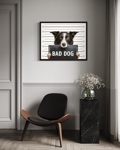 Image of aj decor Border Collie Mugshot Wall Art Print Poster, Dog Pet Lover Picture Painting Artwork Bedroom Living Room Office Dining Room 150D (Border Collie Mugshot, 16 x 20 inches, Black Frame)