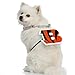 Littlearth NFL Pet Fan Chain Cincinnati Bengals