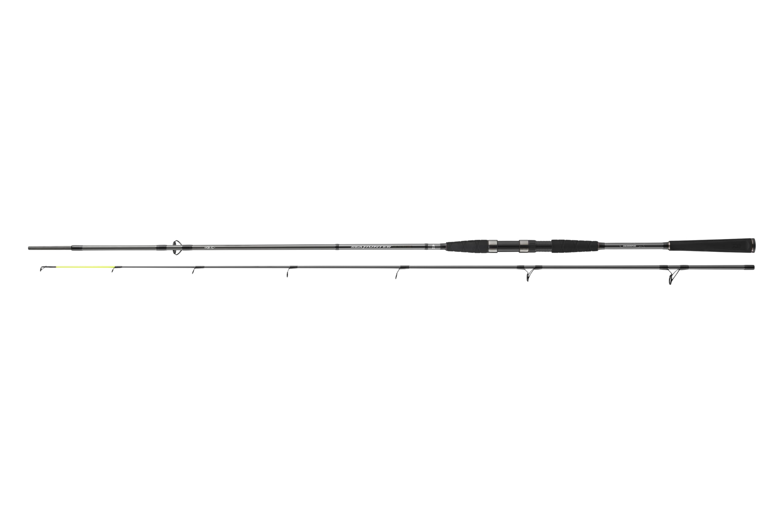 Daiwa Seahunter X 2.70m 30-60g