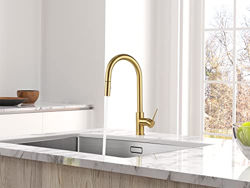 Aguastella As60Bg Brushed Gold Kitchen Sink Faucet With Pull Down Sprayer Single Handle #TOP3