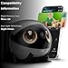 Enabot EBO Air 2 Plus FamilyBot 3K Home Camera Robot: Indoor Camera, Movable Robot Companion, 2-Way Video, AI Chat Mode, Auto-Recharge, Long Battery Life, Custom Facial Image, Night Vision