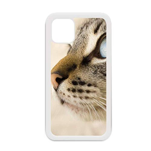 Coque iPhone 12 Pro Max chaton design chat blanc yeux bleus