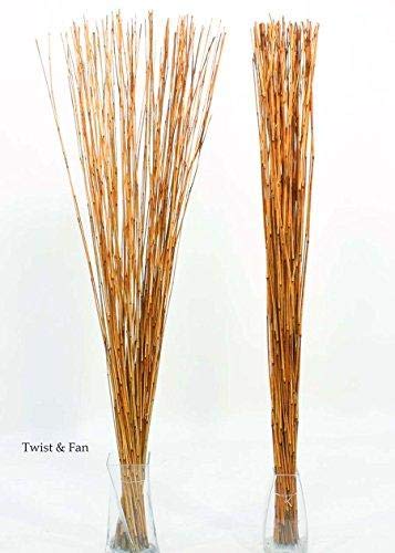 Green Floral Crafts - Decorative Reed Sticks - Burnt Orange