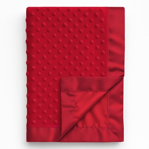 Pro Goleem Baby Soft Minky Dot Blanket with Silky Satin Backing Baby Gifts for Boys and Girls (Red, 30’’ x 40’’)