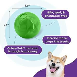 Outward Hound by Planet Dog Mazee Puzzle Ball Interactive Treat Dispensing Dog Toy, Green Outward Hound by Planet Dog Mazee Puzzle Ball Interactive Treat Dispensing Dog Toy Green
