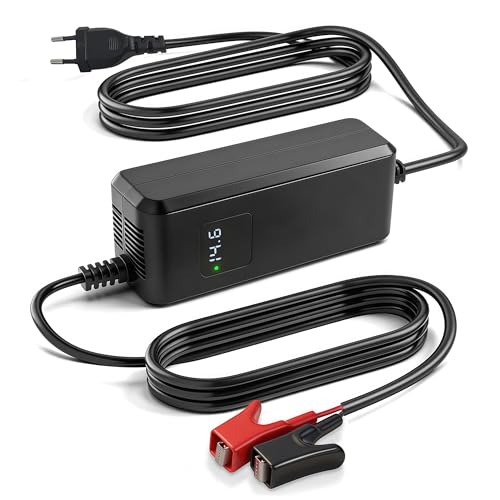 Chargeur LiFePO4 14,6V avec écran LED et pinces de connexion sûres