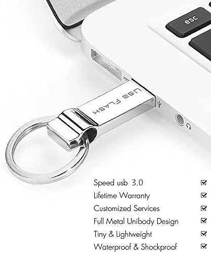 64GB USB 3.0 Flash Disk Mini Stick USB Memory Stick for Computer/Laptop/Computer/Sound/Speaker/External Storage Data/Photo/Video/Music (64GB)