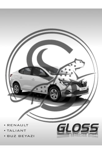 Renault Taliant Rötuş Boyası Buz Beyazı 369, RNTLNTBZB369