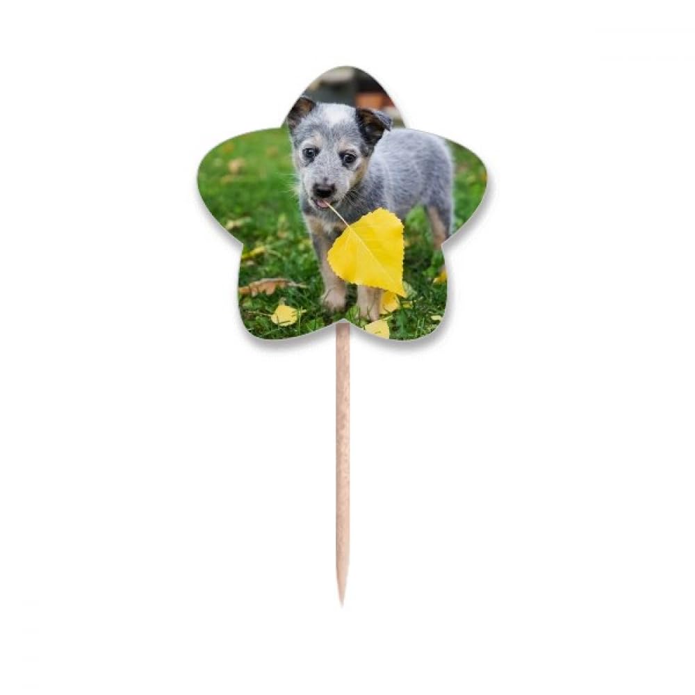 Drapeaux cupcakes étoiles et chiot pour décorer un anniversaire d'enfant réussi