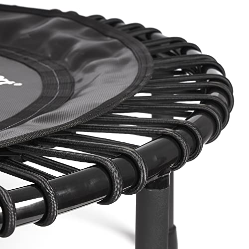 Jumpsport 200 In Home Cardio Fitness Rebounder - Durable Silent Bounce Mini Trampoline With Premium Bungees, Workout Dvd, And Online Access To Video Workouts - Safe And Gentle On The Body #TOP4