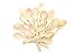 Coobl Wooden Spoons - Disposable Wood Cutlery Silverware (50) ...