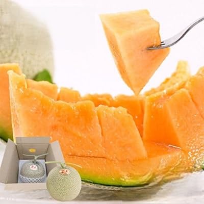 (期間限定 )熊本県 美里町 「恋人メロン」 赤肉メロン 約1.4kg(1玉)(上田農園)