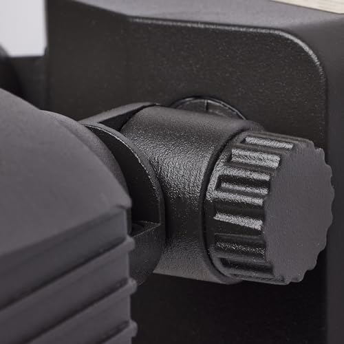 Image of Nuvo 65 /212 LED Dual-Head Security Light, 3000K, Bronze