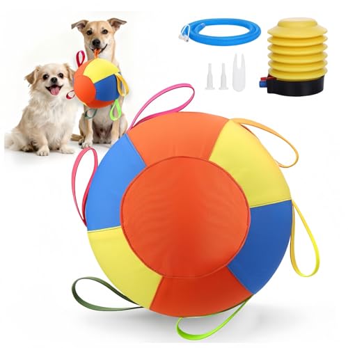 Balle de troupeau pour chiens de berger pour jeux en extérieur