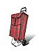 Produktbild Einkaufstrolley | Einkaufsroller | Einkaufswagen | Trolley | Roller | Sackakrre | Klappbar mit Einkaufstasche | 55 x 36 x 20 cm | Belastbar bis 25 kg