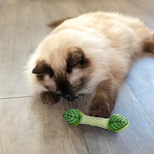 Petstages Fresh Breath Mint Stick - Zahnpflege-Kauspielzeug für Katzen - mit Minze